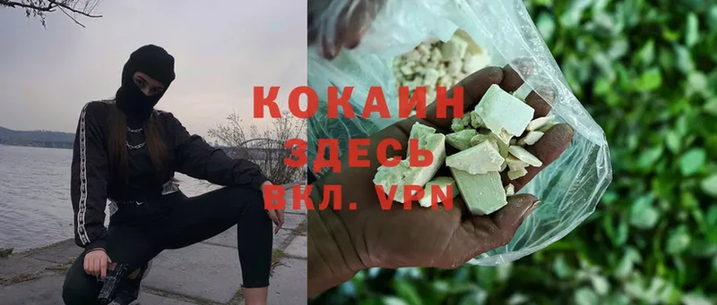 Cocaine Эквадор  omg рабочий сайт  Благодарный 